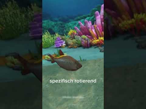 rotierender Spezi-Fisch #brainrot #lustig #fish #meme #brainrot #horizontal #german