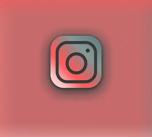 Apprenez à créer une biographie Instagram stylée et originale pour attirer l'attention des utilisateurs et augmenter votre nombre de followers.